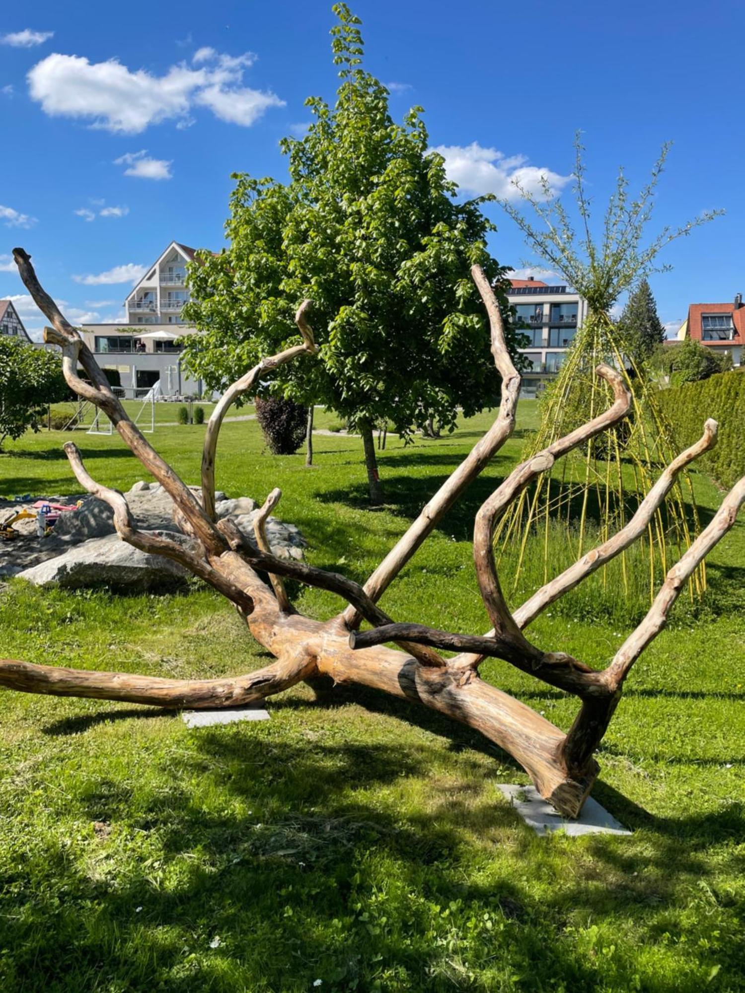 Hotel Traube Am See FDH Екстериор снимка